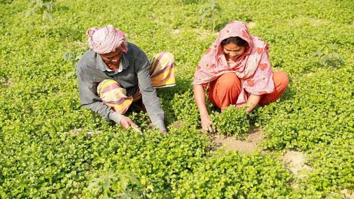 ফেব্রুয়ারি ০৮,২০২২