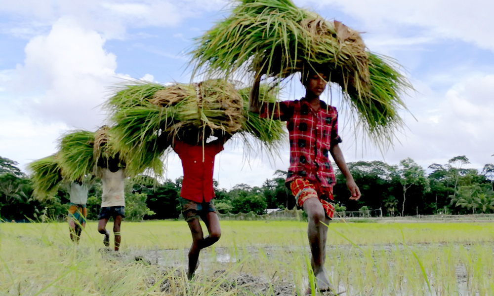 সেপ্টেম্বর ১৩,২০২০