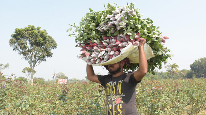 ফেব্রুয়ারি ১৩,২০২২