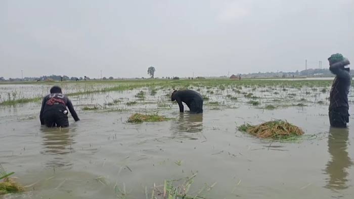 এপ্রিল ২৬,২০২২