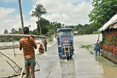 গাইবান্ধায় নতুন করে ৪১ গ্রাম প্লাবিত