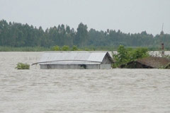 শেরপুরে বন্যা : নতুন করে ৭৭ গ্রাম প্লাবিত