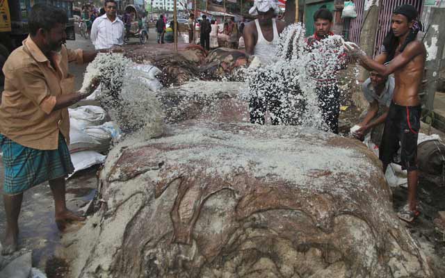 হাজারীবাগে এবার প্রবেশ করতে পারবে কাঁচা চামড়া