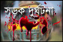 নওগাঁয় ট্রাক খাদে পড়ে নিহত ৬