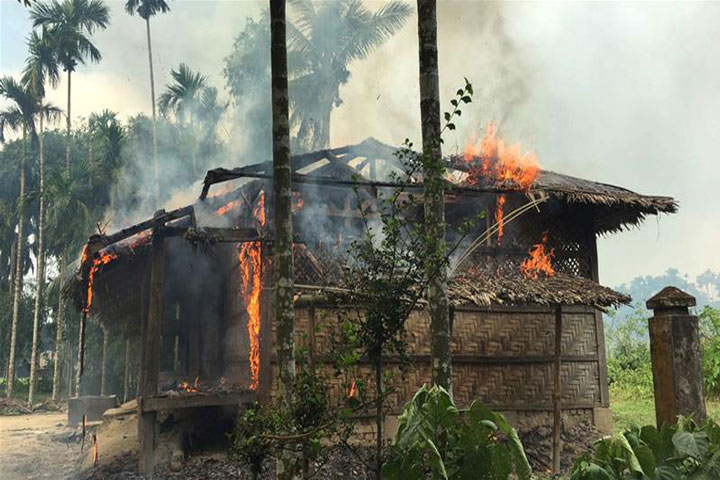 রাখাইন সংকটে যুক্তরাষ্ট্রের নিন্দা