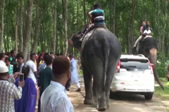 বঙ্গবন্ধু শেখ মুজিব সাফারি পাক দর্শণার্থীদের পদচারণায় মুখর