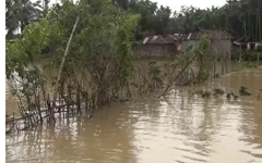 মৌলভীবাজারে নদীর প্রতিরক্ষা বাঁধ ভেঙ্গে শতাধিতক গ্রাম প্লাবিত