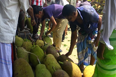 বিভিন্ন মৌসুমী ফলে ছেয়ে গেছে বাজার