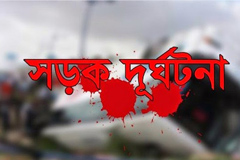 আশু‌লিয়ায় দুই ট্রাকের মুখোমুখি সংঘর্ষ, নিহত ১