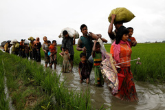 ১৬টি ক্যাম্পে রয়েছে সোয়া ৬ লাখ রোহিঙ্গা