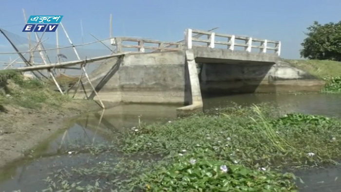 রাজবাড়ীতে অপরিকলিপত সেতু নির্মাণ,  বেড়েছে ভোগান্তি (ভিডিও)