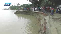 পদ্মার ভাঙ্গনে দিশেহারা ফরিদপুরের হাজারো মানুষ(ভিডিও)