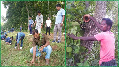 নবাবগঞ্জের জাতীয় উদ্যানের সৌন্দর্য ফিরিয়ে আনতে উদ্যোগ