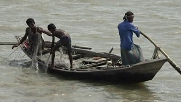 ভরা মৌসুমেও ইলিশ না পেয়ে হতাশ জেলেরা [ভিডিও]  