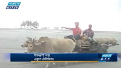 ঐতিহ্য ধরে রাখতে গরুর গাড়ির দৌড় প্রতিযোগিতা