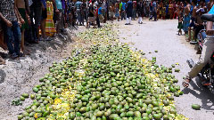 নড়াইলে কেমিক্যাল মিশ্রিত ৩০ মণ আম জব্দ