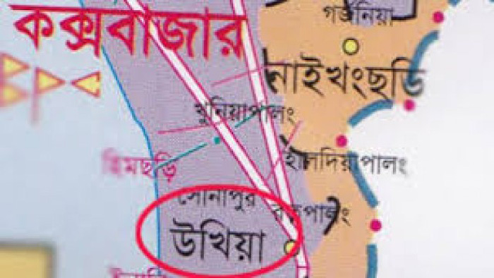 বাঁশবোঝাই ট্রাক উল্টে টমটম-অটোর উপর: নিহত ৫