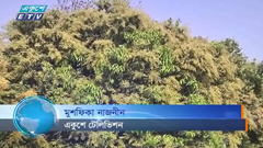 ভালো ফলনের আশায় আম বাগান মালিকরা (ভিডিও)