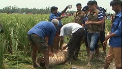 ৪ মৃতদেহের ২ জনের পরিচয় মিলেছে [ভিডিও]