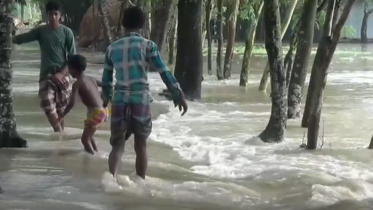 লালমনিরহাটে সড়ক ভেঙ্গে লোকালয়ে ঢুকছে তিস্তার পানি (ভিডিও)