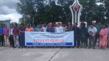 নোবিপ্রবি`র শিক্ষকের উপর হামলার প্রতিবাদে মানববন্ধন