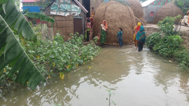 সরকারি খাল দখল: জলাবদ্ধতার শিকার দুইশ পরিবার