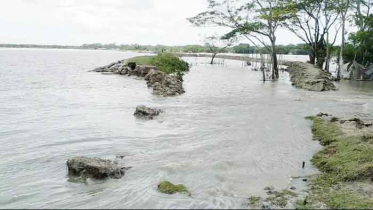 ভাঙা বেড়িবাঁধ দিয়ে জোয়ারের পানিতে লোকালয় প্লাবিত   