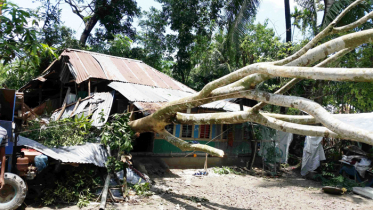 বাগেরহাটে কালবৈশাখীতে গাছপালা-ঘরবাড়ি বিধ্বস্ত, নিহত ১