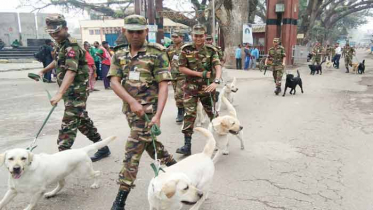 বাংলাদেশ সেনাবাহিনীকে ১০টি কুকুর দিল ভারতীয় সেনাবাহিনী 