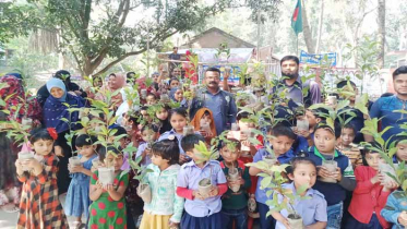 ভাষা শহীদদের স্মরণে উদ্ভাবক মিজানের চারাগাছ বিতরণ 