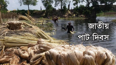 সোনালী আঁশের সোনার দেশ, মুজিববর্ষে বাংলাদেশ