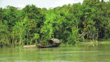 সুন্দরবনে বিষ দিয়ে মাছ নিধন, প্রতিবাদ করায় হামলা