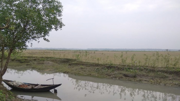 দিনের তাপমাত্রা হ্রাস পাবে 