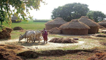 দিনের তাপমাত্রা অপরিবর্তিত থাকবে