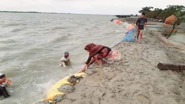 বলেশ্বরে পানি বৃদ্ধি, লোকালয় প্লাবিত হওয়ার শঙ্কা