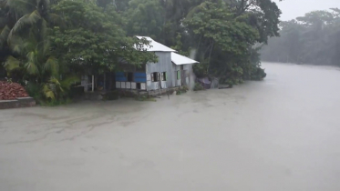 ঝালকাঠির সিডর দূর্গত কাঠালিয়া প্লাবিত