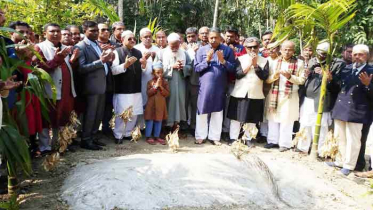 ডা. মোজাম্মেলের স্বপ্ন পূরণ করা হবে: শেখ হেলাল উদ্দিন