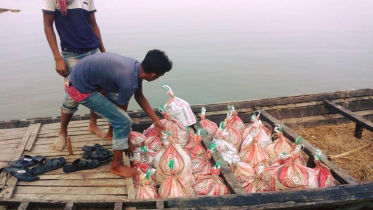 করোনাকালের তারুণ্য শিখা