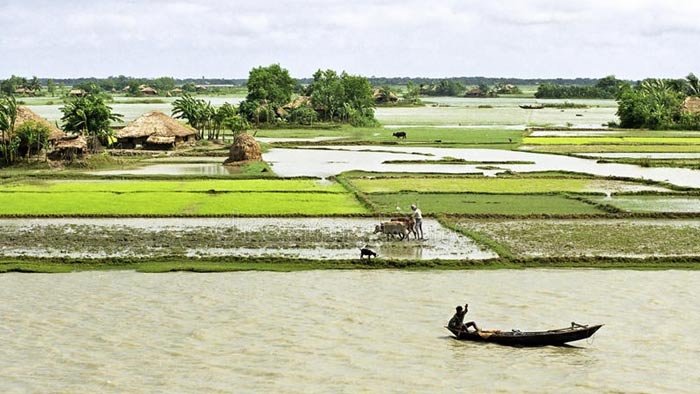 কোন কোন স্থানে বৃষ্টির সম্ভাবনাও রয়েছে- সংগৃহীত