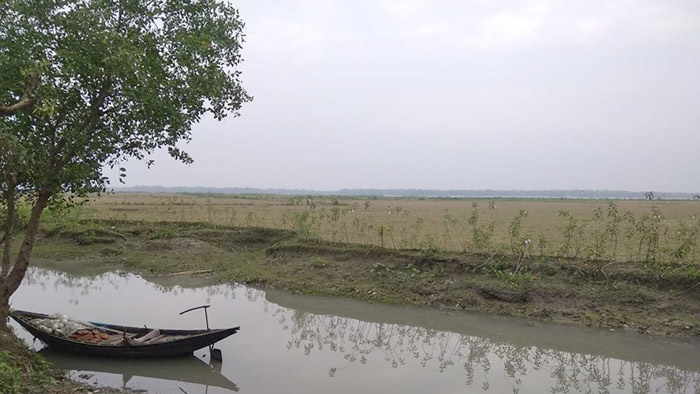 সারাদেশে দিনের তাপমাত্রা হ্রাস পেতে পারে। পিরোজপুর থেকে ছবিটি তুলেছেন ম. শহিদুল্লাহ