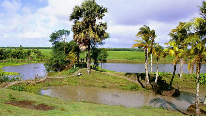 বাংলার এক গ্রামের মনোরম দৃশ্যপট- সংগৃহীত