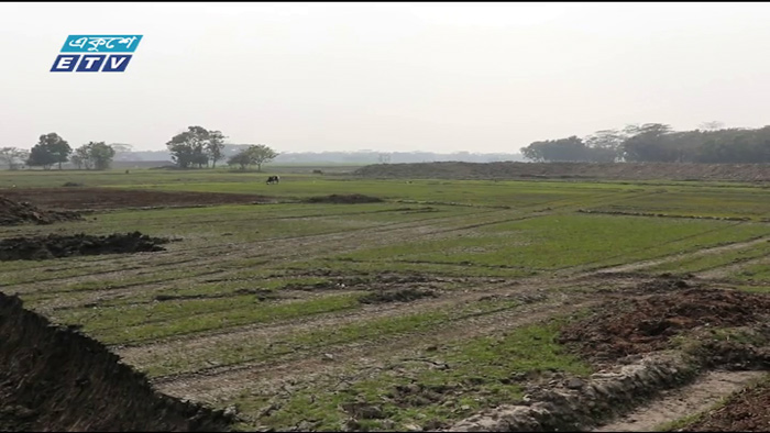 শরীয়তপুরে কৃষকের জমি দখলের অভিযোগ (ভিডিও)