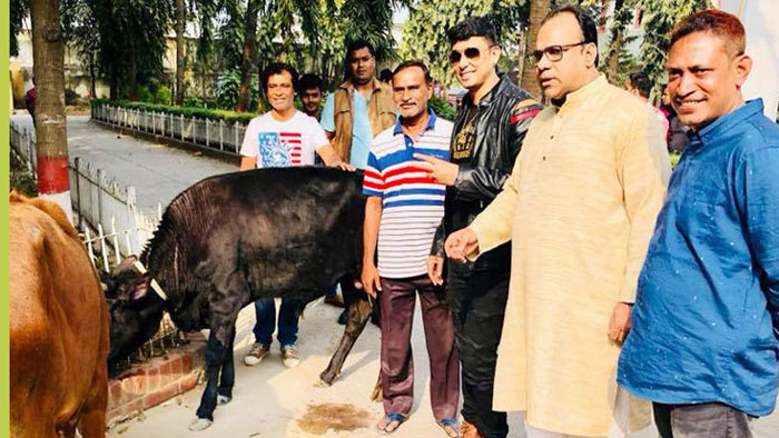 শিল্পী সমিতিকে গরু দিলেন ডিপজল  