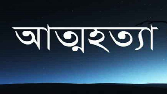 লুডু খেলায় হেরে অভিমান করে আত্মহত্যা