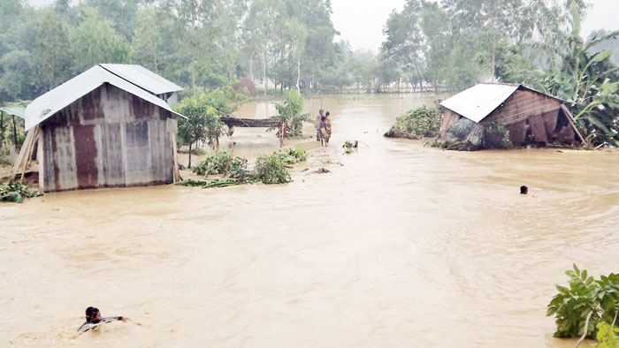 শেরপুরে পাহাড়ি ঢলে ১০ হাজার মানুষ পানিবন্দি