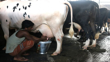 মানবদেহে ঢুকছে ক্ষতিকর অ্যান্টিবায়োটিক!