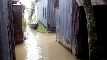 রাজবাড়ীর নিন্মাঞ্চল প্লাবিত,দুর্ভোগে বানভাসী