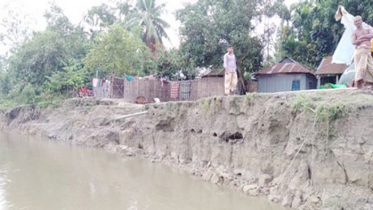 বাঙ্গালি নদীর ভাঙনে বসতভিটে হারালো ৭৫ পরিবার