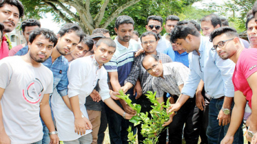 ইবির বঙ্গবন্ধু হলের উদ্যেগে বৃক্ষরোপন কর্মসূচী