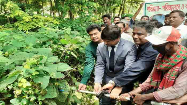 আবর্জনা কুড়িয়ে ডাস্টবিনে ফেলার আহ্বান ইবি উপাচার্যের